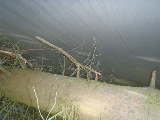 LKW Bergung Schönbichl 2011_2