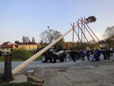 Maibaum Aufstellen