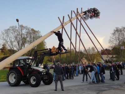 Maibaum Aufstellen