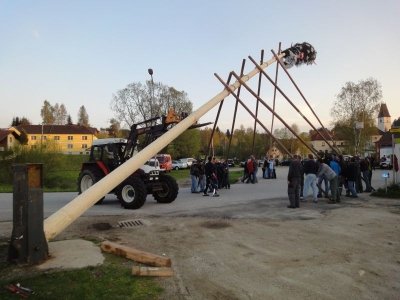 Maibaum Aufstellen