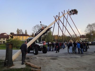 Maibaum Aufstellen