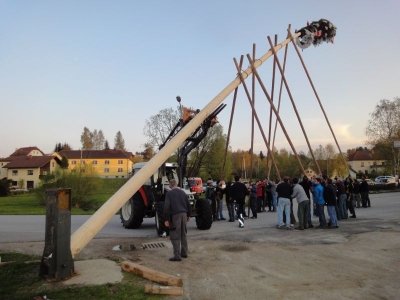 Maibaum Aufstellen