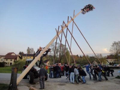 Maibaum Aufstellen