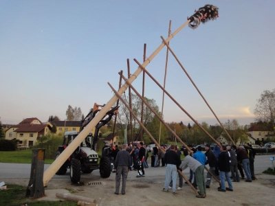 Maibaum Aufstellen