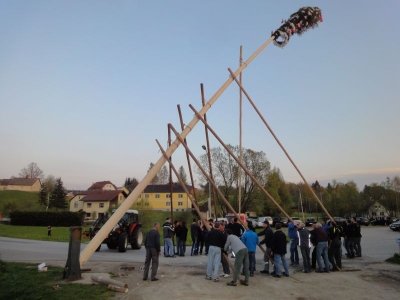 Maibaum Aufstellen