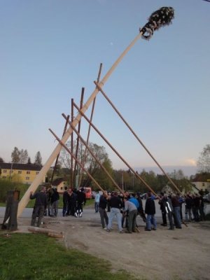 Maibaum Aufstellen