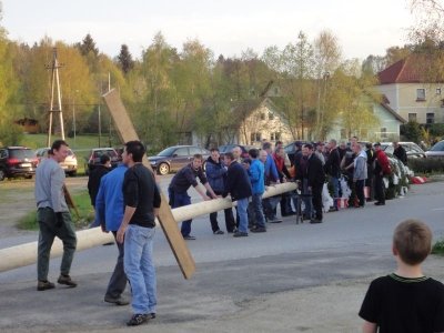 Maibaum Aufstellen