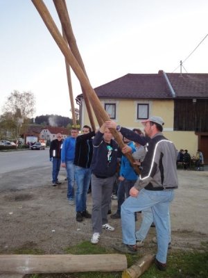 Maibaum Aufstellen