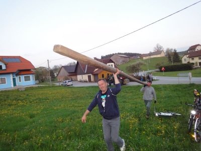 Maibaum Aufstellen