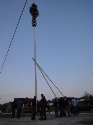 Maibaum Aufstellen