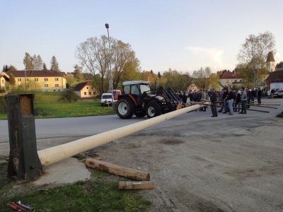 Maibaum Aufstellen