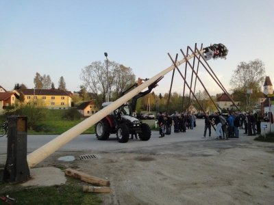 Maibaum Aufstellen